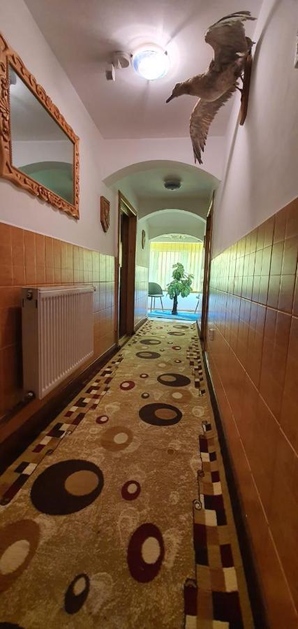 Casa Cristian Villa Câmpulung Moldovenesc Exteriör bild